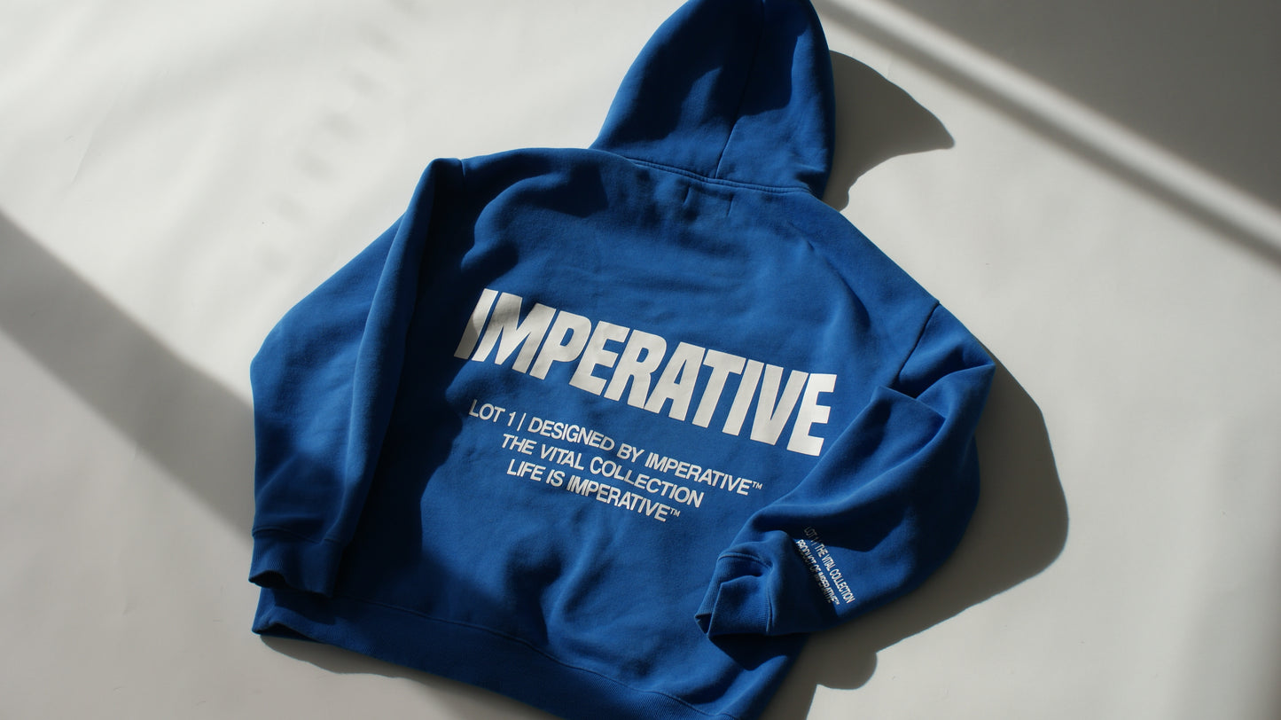 [LOT|1] Sapphire Blue Hoodie