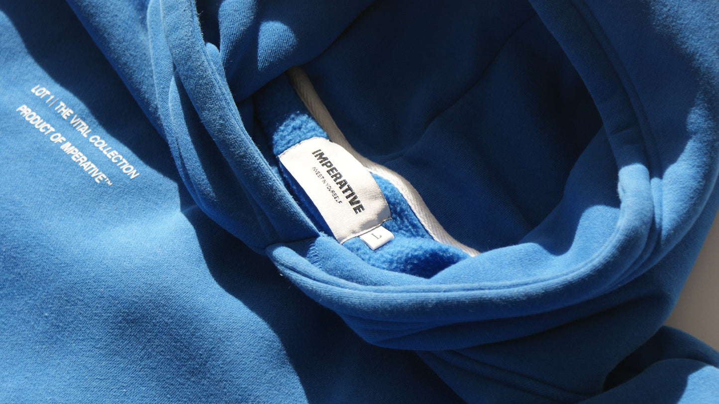 [LOT|1] Sapphire Blue Hoodie